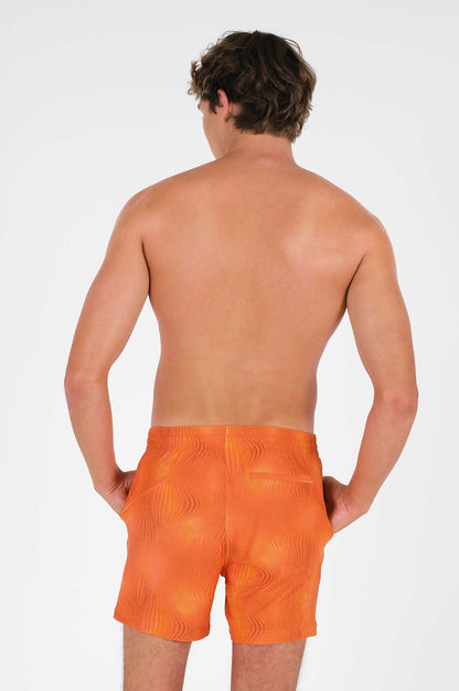 Men's Swim Shorts / Venus