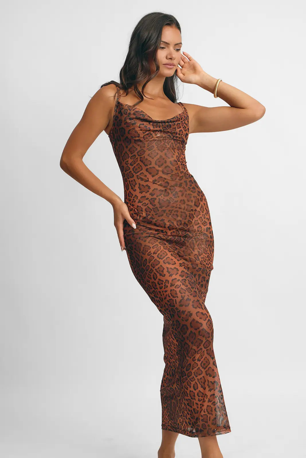 Aamal Maxi Dress / Leopard Mesh