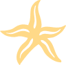 Starfish Vector