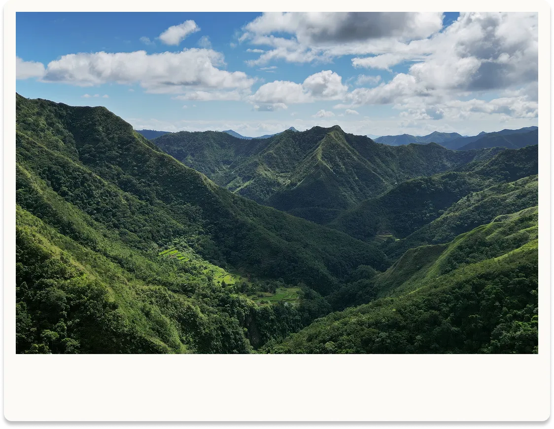 polaroid mountain